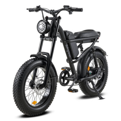 IM-J1 Elektrofahrrad 48V 15AH Batterie 500W Motor 20*4.0inch Fette Reifen 80-120KM Reichweite 150KG Traglast