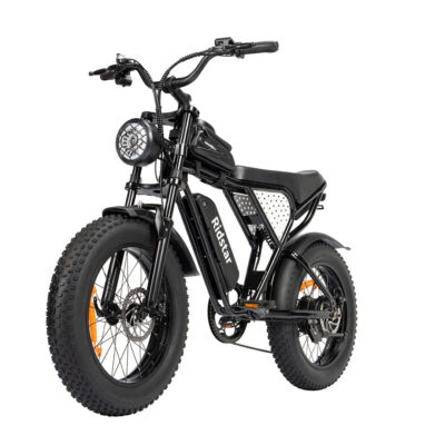 Ridstar Q20 Mini E-Bike 48V 15AH Akku 1000W Motor 20-Zoll Reifen 60-80KM Max. Reichweite 150KG Max. Belastung Elektrofahrrad