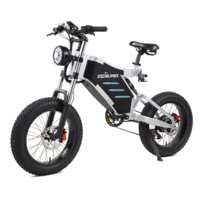 RZOGUWEX X5 Elektrofahrrad 48V 25AH Batterie 1000W Motor 20-Zoll-Reifen 50-60KM Max. Reichweite 200KG Max. Belastung Elektrofahrrad