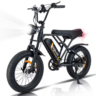 KOOLUX BK29 E-Bike 48V 18AH Batterien 250W Motor 20-Zoll-Reifen 55-80KM maximale Reichweite 120KG maximale Belastung E-Bike