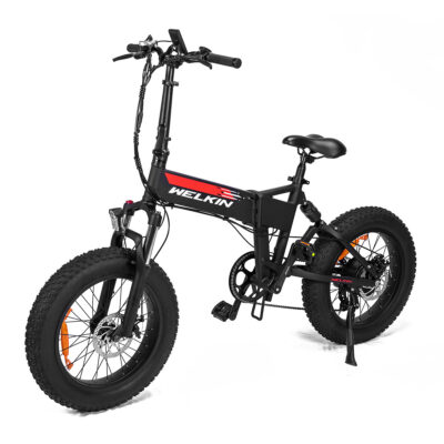 WELKIN WKES001 mit 48V 10,4AH Batterie, 500W Motor, 20×4,0 Zoll Reifen, mechanische Scheibenbremse, Reichweite von 25-32km