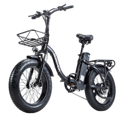 BURCHDA R8S PRO Elektrofahrrad 48V 15Ah Batterie 800W Motor 20 * 4,0-Zoll-Reifen 50-60KM Max. Laufleistung 180KG Max. Last Klappbares Elektrofahrrad