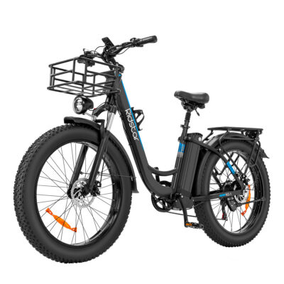 Ridstar MN26 Elektrofahrrad 48 20AH Batterie 750W Motor 26*4.0 Zoll Reifen 90KM Maximale Reichweite 150KG Maximale Belastung
