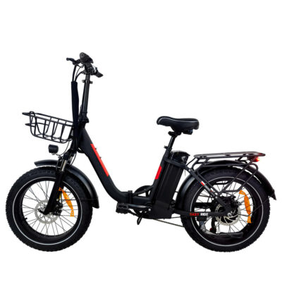 BAOLUJIE DZ-2030 Elektrofahrrad 48V 13AH Batterie 500W Motor 20*4.0 Zoll Reifen 35-45KM Reichweite 150KG Maximale Belastung Elektrofahrrad