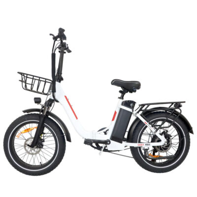 BAOLUJIE DZ-2030 Elektrofahrrad 48V 13AH Batterie 500W Motor 20*4.0 Zoll Reifen 35-45KM Reichweite 150KG Maximale Belastung Elektrofahrrad