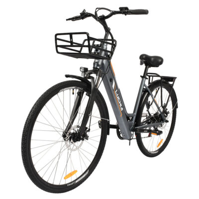 LUCHIA ANTARES E-Bike 36V 10AH 250W Elektrofahrrad 700C“*38C Zulässiger Bereich von 60 km Maximale Belastung 120 kg
