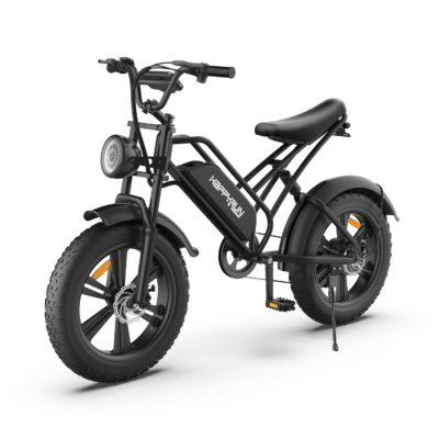 HAPPYRUN HR-G50 Elektrofahrrad mit 48V 18Ah Akku, 750W Motor, 20-Zoll-Reifen, 110KM Reichweite und 120KG maximalem Gewicht