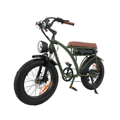 BEZIOR XF001PLUS Elektrofahrrad 48V 17.5Ah 1000W 20*4 Zoll 100KM Reichweite Maximale Traglast 120KG